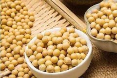 便携式蔬菜农药检测仪检测大豆农残 便携式蔬菜农药检测仪检测大豆农残