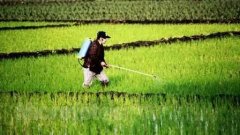 便携式农残仪使用说明书 便携式农残仪使用说明书