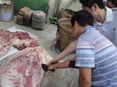 病害肉快速检测仪的操作方法 病害肉快速检测仪的操作方法