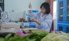 蔬菜农药残留快速检测仪器哪个准确 蔬菜农药残留快速检测仪器哪个准确