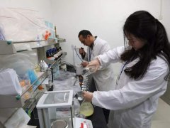 肉类食品检测仪保障肉类品质安全 肉类食品检测仪保障肉类品质安全