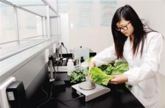农残快速检测仪的使用过程 农残快速检测仪的使用过程