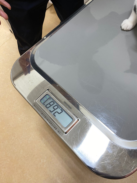 体重2.68キロ