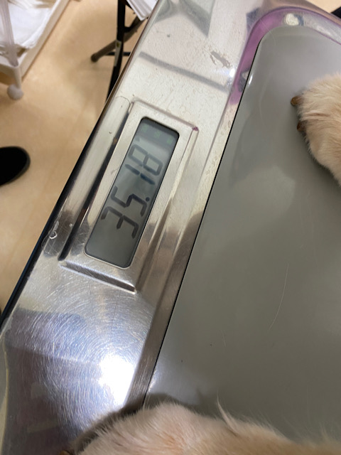 35.18kg